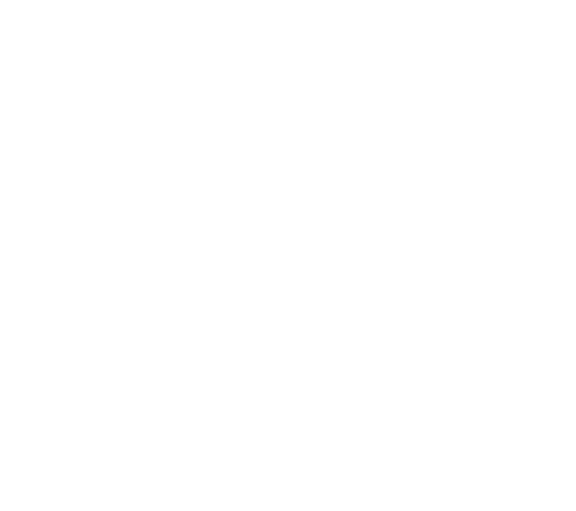 Scolarité
